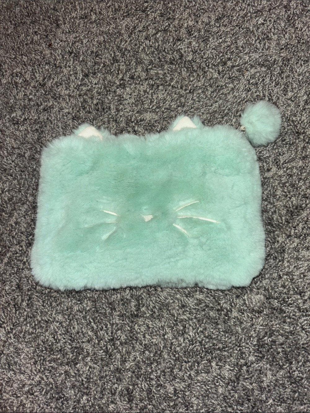 Pottery Barn Teen Mint Plush Cat Pouch with Pom-Zip
